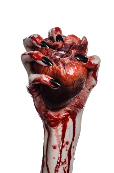 Bloody horror and Halloween theme: Terrible bloody hands with black nails holding a bloody human heart on a white background isolated background in studio — Stock Photo, Image