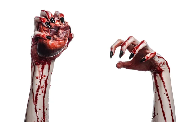 Horror sangrento e tema de Halloween: mãos sangrentas terríveis com unhas pretas segurando um coração humano sangrento em um fundo branco isolado em estúdio — Fotografia de Stock