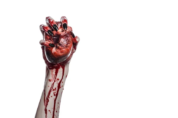 Horror sangrento e tema de Halloween: mãos sangrentas terríveis com unhas pretas segurando um coração humano sangrento em um fundo branco isolado em estúdio — Fotografia de Stock