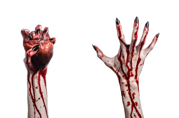 Blutiger Horror und Halloween-Thema: schreckliche blutige Hände mit schwarzen Nägeln, die ein blutiges menschliches Herz auf weißem Hintergrund halten — Stockfoto