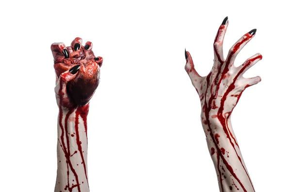 Horror sangrento e tema de Halloween: mãos sangrentas terríveis com unhas pretas segurando um coração humano sangrento em um fundo branco isolado em estúdio — Fotografia de Stock