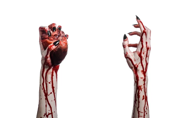 Horror sangrento e tema de Halloween: mãos sangrentas terríveis com unhas pretas segurando um coração humano sangrento em um fundo branco isolado em estúdio — Fotografia de Stock