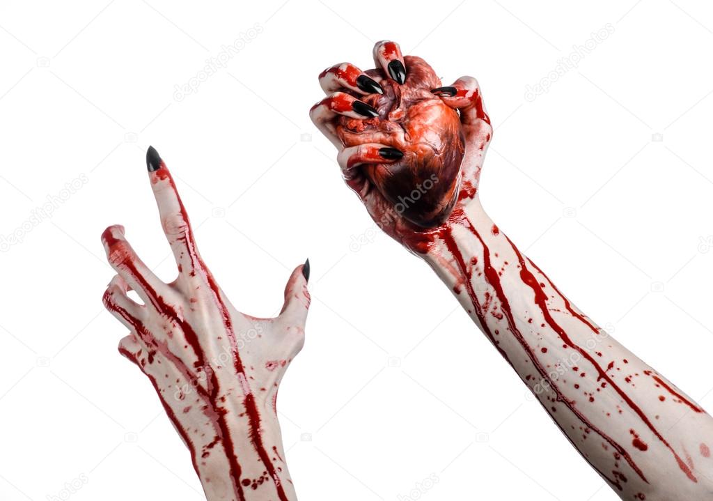 Bloody horror and Halloween theme: Terrible bloody hands with black nails holding a bloody human heart on a white background isolated background in studio