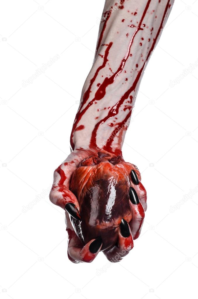 Bloody horror and Halloween theme: Terrible bloody hands with black nails holding a bloody human heart on a white background isolated background in studio