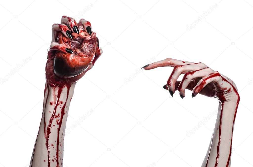 Bloody horror and Halloween theme: Terrible bloody hands with black nails holding a bloody human heart on a white background isolated background in studio