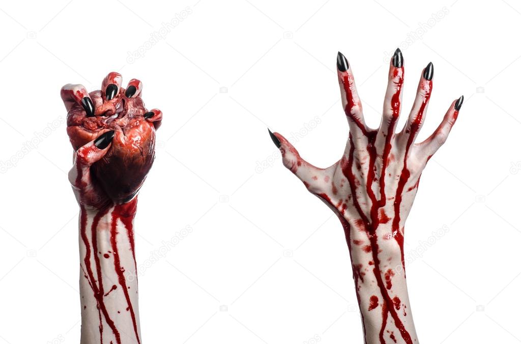 Bloody horror and Halloween theme: Terrible bloody hands with black nails holding a bloody human heart on a white background isolated background in studio