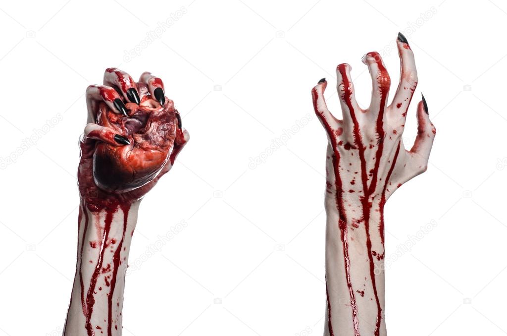 Bloody horror and Halloween theme: Terrible bloody hands with black nails holding a bloody human heart on a white background isolated background in studio