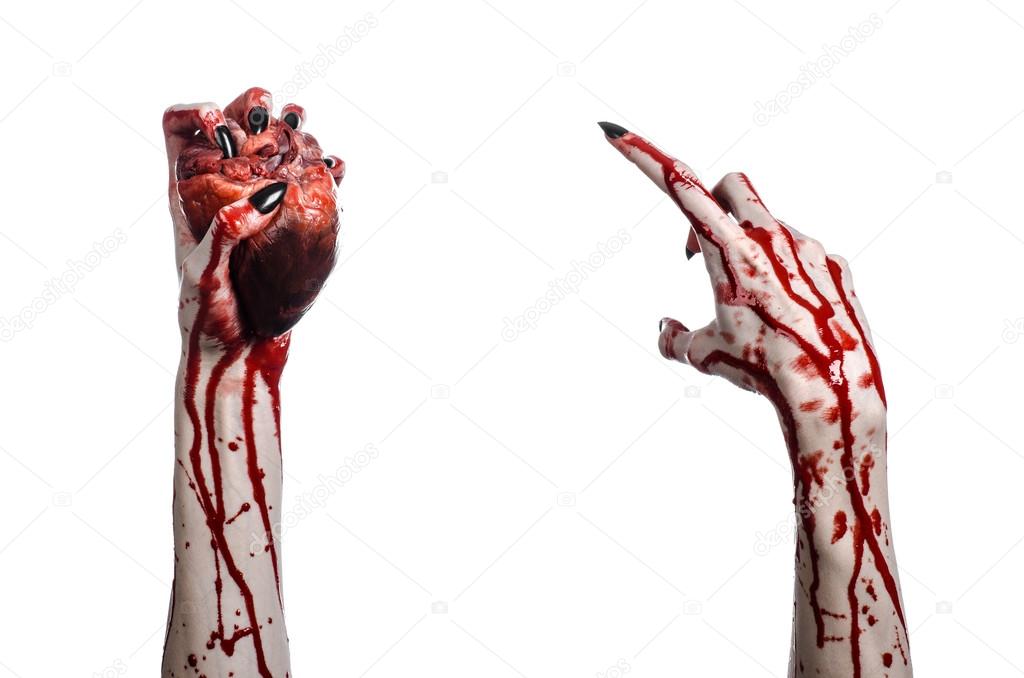 Bloody horror and Halloween theme: Terrible bloody hands with black nails holding a bloody human heart on a white background isolated background in studio
