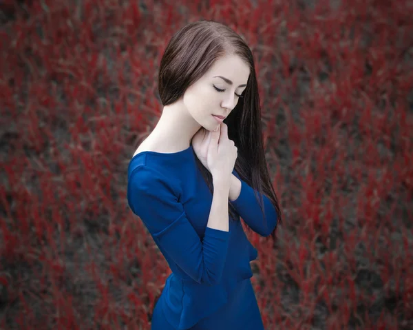 Dramatisches Porträt eines Mädchenthemas: Porträt eines schönen Mädchens im Wald in einem blauen Kleid vor rotem Gras — Stockfoto