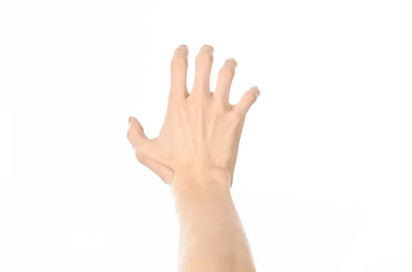 제스처 주제: 인간의 손 제스처를 보여주는 첫 번째-사람이 스튜디오에 고립 된 흰색 배경 목록 — 스톡 사진