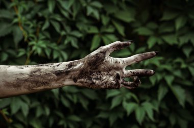 Korku ve Halloween Tema: korkunç zombi eller ile siyah kirli çivi ölü kıyamet yürüyüş yeşil yaprakları için ulaşır