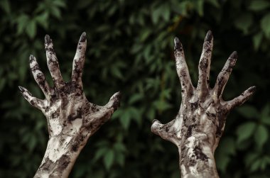 Korku ve Halloween Tema: korkunç zombi eller ile siyah kirli çivi ölü kıyamet, birinci şahıs bakış yürüyüş yeşil yaprakları için ulaşır