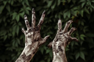 Korku ve Halloween Tema: korkunç zombi eller ile siyah kirli çivi ölü kıyamet, birinci şahıs bakış yürüyüş yeşil yaprakları için ulaşır