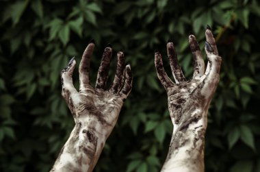 Korku ve Halloween Tema: korkunç zombi eller ile siyah kirli çivi ölü kıyamet, birinci şahıs bakış yürüyüş yeşil yaprakları için ulaşır