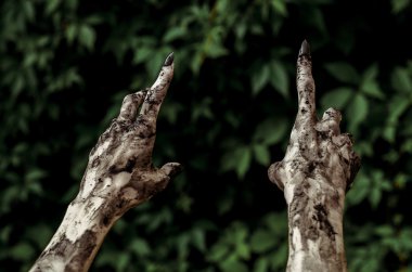 Korku ve Halloween Tema: korkunç zombi eller ile siyah kirli çivi ölü kıyamet, birinci şahıs bakış yürüyüş yeşil yaprakları için ulaşır