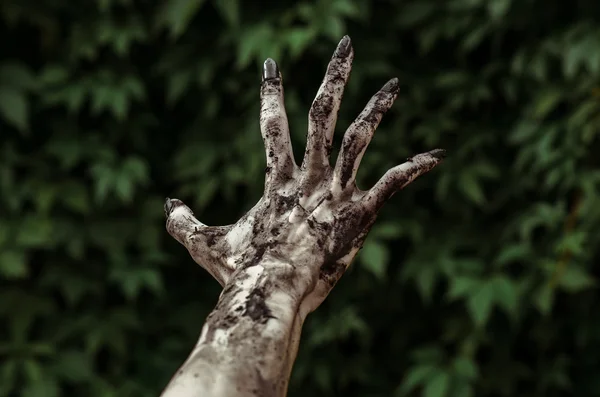 Horror en Halloween thema: verschrikkelijke zombie handen vuil met zwarte nails bereikt voor groene bladeren, wandelen dead Apocalyps, eerste-persoonsmening — Stockfoto