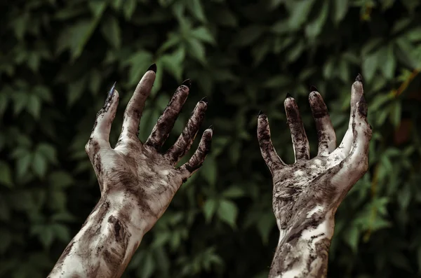 Korku ve Halloween Tema: korkunç zombi eller ile siyah kirli çivi ölü kıyamet, birinci şahıs bakış yürüyüş yeşil yaprakları için ulaşır — Stok fotoğraf