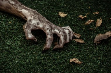 Korku ve Halloween Tema: korkunç zombi eller siyah çivi yalan yeşil çimen, yürüyen ölü kıyamet üzerine kirli, ana sayfa görünümü