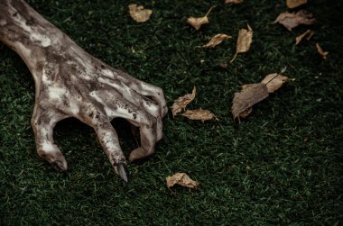 Korku ve Halloween Tema: korkunç zombi eller siyah çivi yalan yeşil çimen, yürüyen ölü kıyamet üzerine kirli, ana sayfa görünümü