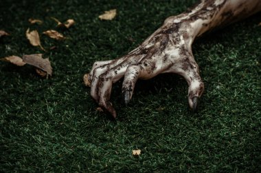 Korku ve Halloween Tema: korkunç zombi eller siyah çivi yalan yeşil çimen, yürüyen ölü kıyamet üzerine kirli, ana sayfa görünümü