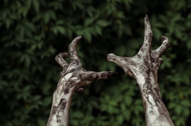 Korku ve Halloween Tema: korkunç zombi eller ile siyah kirli çivi ölü kıyamet, birinci şahıs bakış yürüyüş yeşil yaprakları için ulaşır