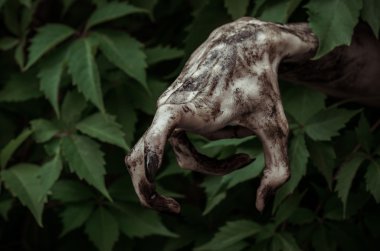 Korku ve Halloween Tema: korkunç kirli el ile siyah tırnak zombi ölü kıyamet yürüyüş yeşil yaprakları dışarı tarar