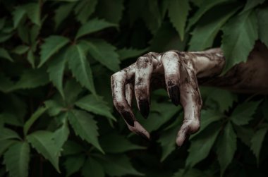 Korku ve Halloween Tema: korkunç kirli el ile siyah tırnak zombi ölü kıyamet yürüyüş yeşil yaprakları dışarı tarar