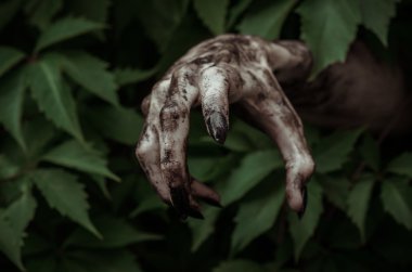 Korku ve Halloween Tema: korkunç kirli el ile siyah tırnak zombi ölü kıyamet yürüyüş yeşil yaprakları dışarı tarar