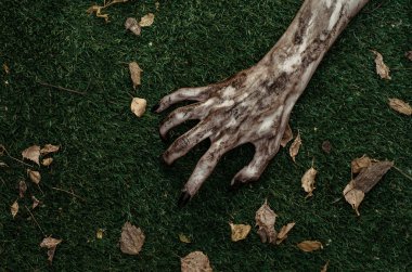 Korku ve Halloween Tema: korkunç zombi eller siyah çivi yalan yeşil çimen, yürüyen ölü kıyamet üzerine kirli, ana sayfa görünümü