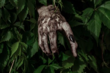 Korku ve Halloween Tema: korkunç kirli el ile siyah tırnak zombi ölü kıyamet yürüyüş yeşil yaprakları dışarı tarar