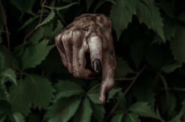 Korku ve Halloween Tema: korkunç kirli el ile siyah tırnak zombi ölü kıyamet yürüyüş yeşil yaprakları dışarı tarar