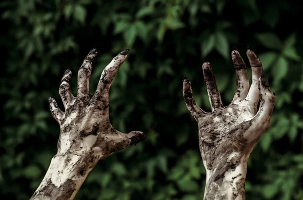 Korku ve Halloween Tema: korkunç zombi eller ile siyah kirli çivi ölü kıyamet, birinci şahıs bakış yürüyüş yeşil yaprakları için ulaşır