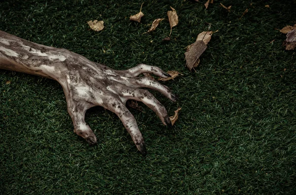공포와 할로윈 테마: 끔찍한 좀비 손 더러운 녹색 잔디, 걷는 죽은 종말에 검은 손톱 거짓말, 상위 보기 — 스톡 사진