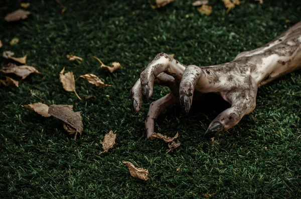 Terror y Halloween tema: terribles manos zombi sucio con uñas negras se encuentran en la hierba verde, el apocalipsis muertos vivientes, vista superior —  Fotos de Stock