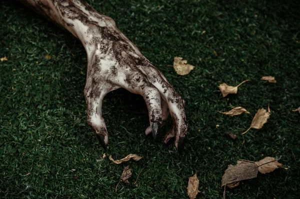 Terror y Halloween tema: terribles manos zombi sucio con uñas negras se encuentran en la hierba verde, el apocalipsis muertos vivientes, vista superior — Foto de Stock