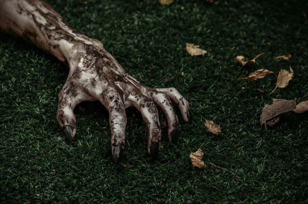 Terror y Halloween tema: terribles manos zombi sucio con uñas negras se encuentran en la hierba verde, el apocalipsis muertos vivientes, vista superior —  Fotos de Stock