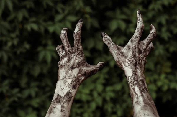 Horror and Halloween theme: Mãos terríveis zumbi sujo com unhas pretas atinge folhas verdes, andando apocalipse morto, visão em primeira pessoa — Fotografia de Stock