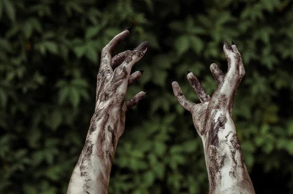 Horror and Halloween theme: Mãos terríveis zumbi sujo com unhas pretas atinge folhas verdes, andando apocalipse morto, visão em primeira pessoa — Fotografia de Stock