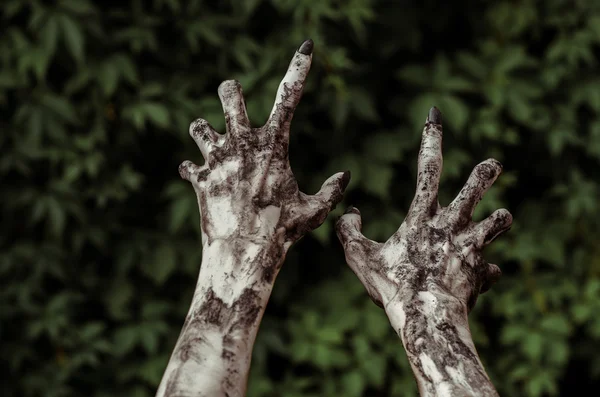 Тема жахів і Хеллоуїна: жахливі зомбі брудні руки з чорними цвяхами досягає зеленого листя, ходячий мертвий апокаліпсис, вид від першої особи — стокове фото
