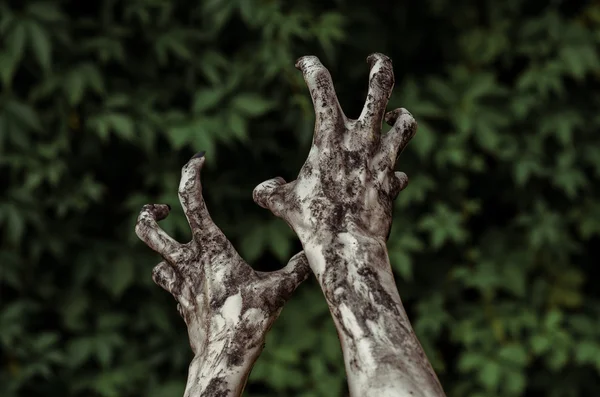 공포와 할로윈 테마: 끔찍한 좀비 손 블랙 더러운 손톱 죽은 종말, 첫 번째 사람이 볼을 걷는 녹색 잎에 도달 — 스톡 사진