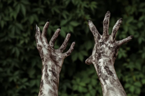 Тема жахів і Хеллоуїна: жахливі зомбі брудні руки з чорними цвяхами досягає зеленого листя, ходячий мертвий апокаліпсис, вид від першої особи — стокове фото