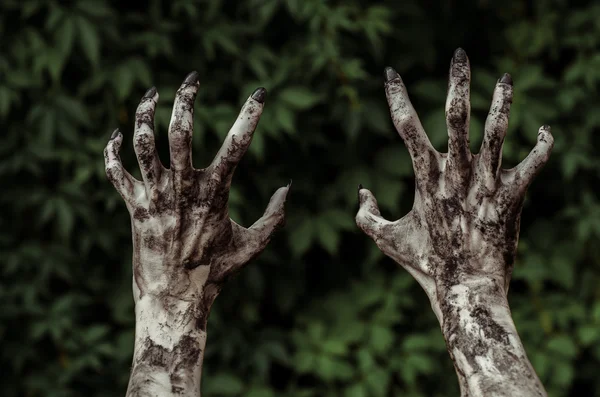 Tema de horror y Halloween: Las terribles manos zombis sucias con uñas negras alcanzan hojas verdes, apocalipsis muerto viviente, vista en primera persona —  Fotos de Stock