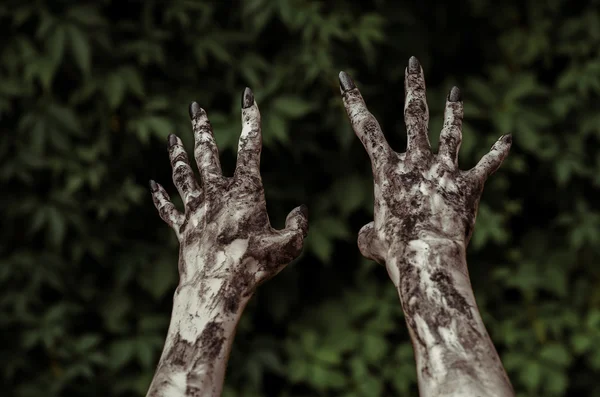 Tema Horror and Halloween: Terribili mani di zombie sporche di unghie nere che cercano foglie verdi, apocalisse morta ambulante, vista in prima persona — Foto Stock