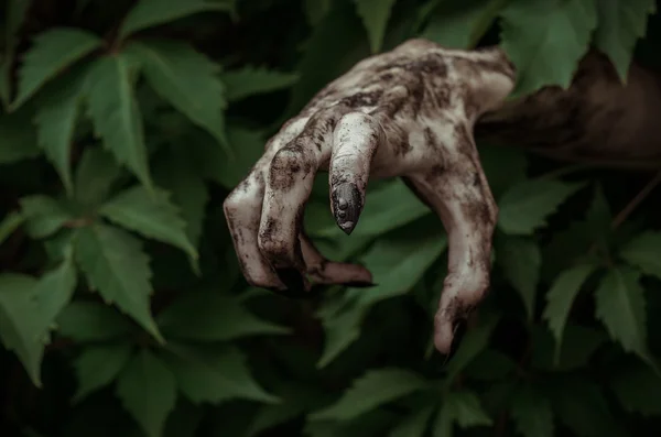 Horror en Halloween thema: verschrikkelijke vuile hand met zwarte vingernagels zombie kruipt uit groene bladeren, wandelen dead Apocalyps — Stockfoto