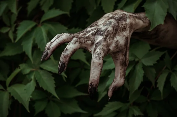 Horror en Halloween thema: verschrikkelijke vuile hand met zwarte vingernagels zombie kruipt uit groene bladeren, wandelen dead Apocalyps — Stockfoto