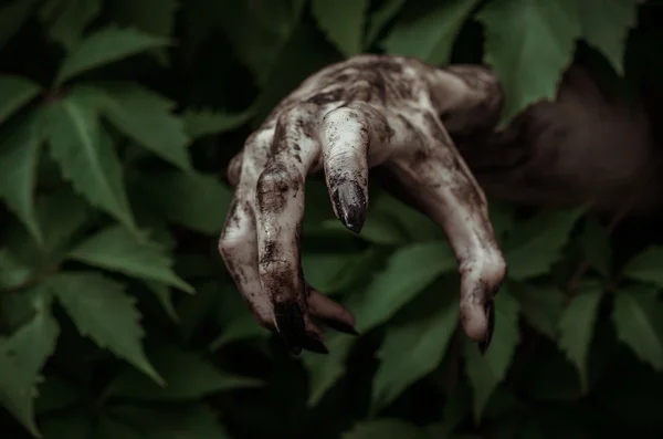 Terror y Halloween tema: terrible mano sucia con uñas negras zombie se arrastra de hojas verdes, apocalipsis muertos vivientes —  Fotos de Stock