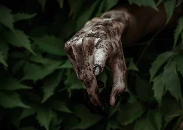 Horror and Halloween theme: terrible dirty hand with black fingernails zombie crawls out of green leaves, walking dead apocalypse — Stock Photo, Image