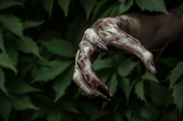 Horror und Halloween-Thema: Schrecklich schmutzige Hand mit schwarzen Fingernägeln Zombie kriecht aus grünen Blättern, geht tot Apokalypse — Stockfoto