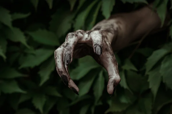 Horror en Halloween thema: verschrikkelijke vuile hand met zwarte vingernagels zombie kruipt uit groene bladeren, wandelen dead Apocalyps — Stockfoto