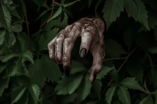 Horror and Halloween theme: terrível mão suja com unhas pretas zumbis rasteja para fora de folhas verdes, andando apocalipse morto — Fotografia de Stock